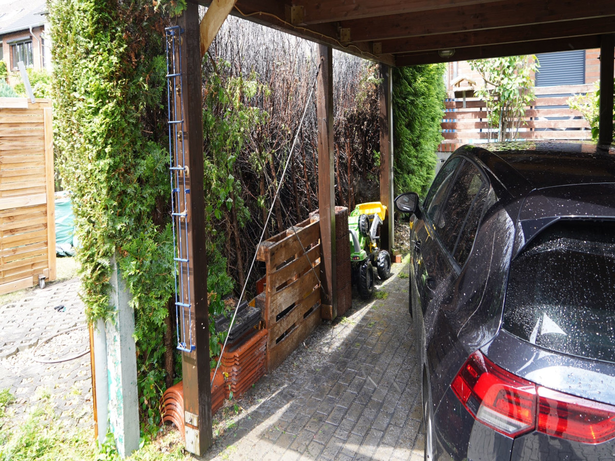 Hecke in Brand